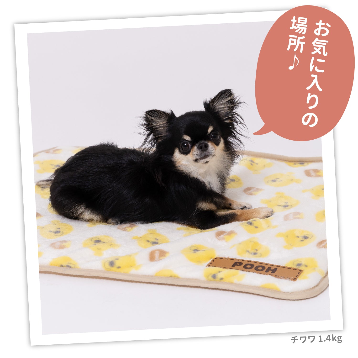 プーさんハニーボアブランケットM ペット用品