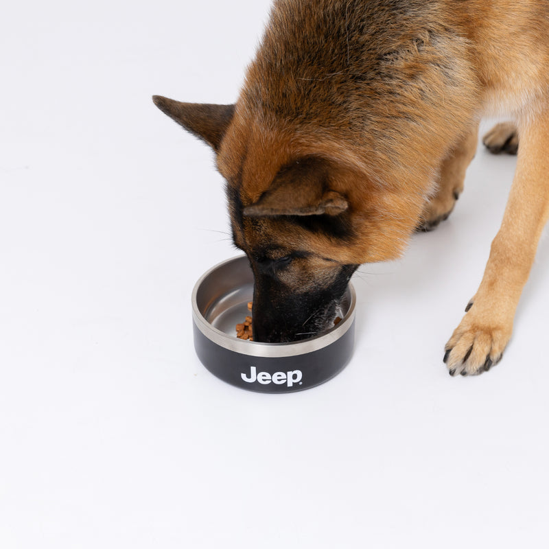 JeepⓇステンレスフードボウル Mサイズ 32oz ペット用品 ペット食器
