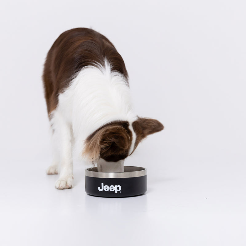 JeepⓇステンレスフードボウル Mサイズ 32oz ペット用品 ペット食器