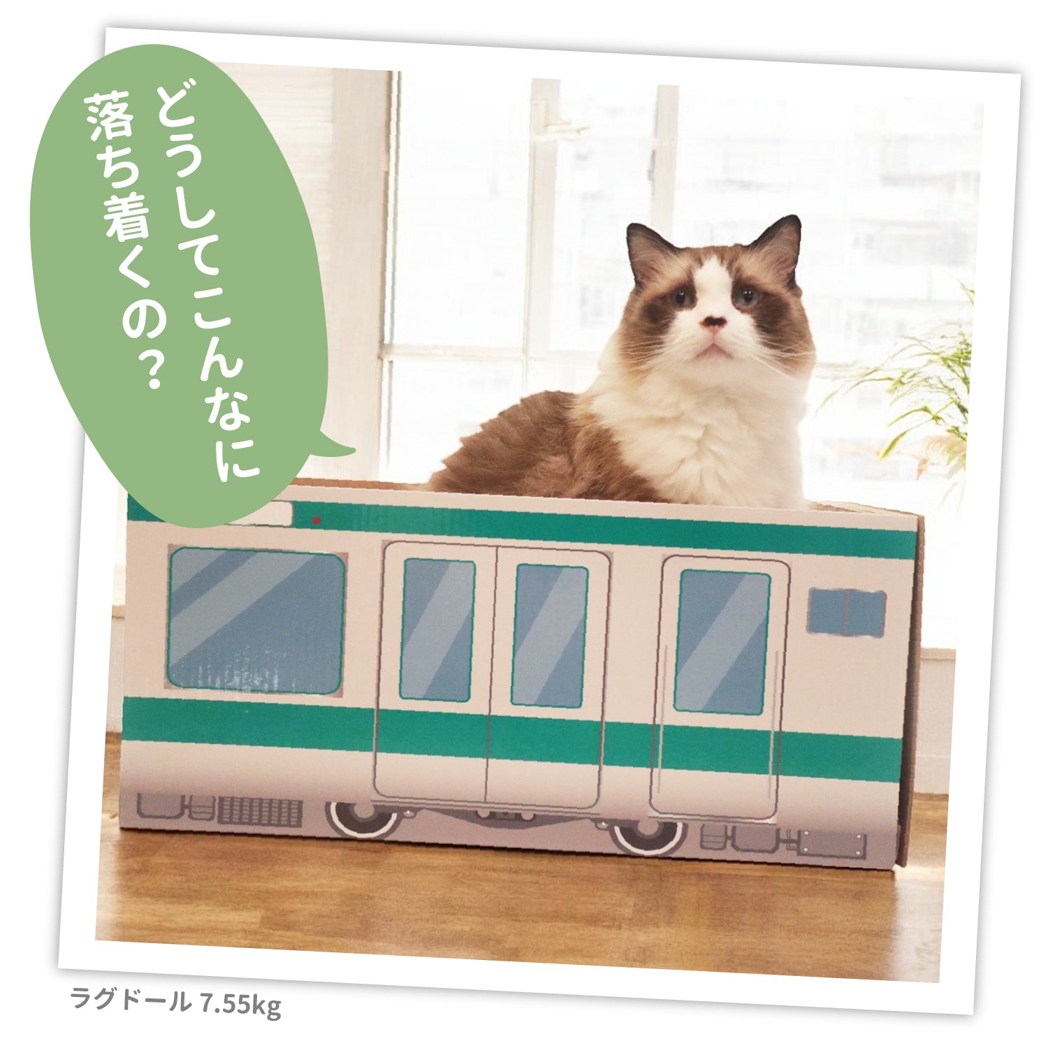 JR爪とぎ ペット用品 猫爪とぎ　山手線　埼京線　京浜東北線 JR東日本商品化許諾済