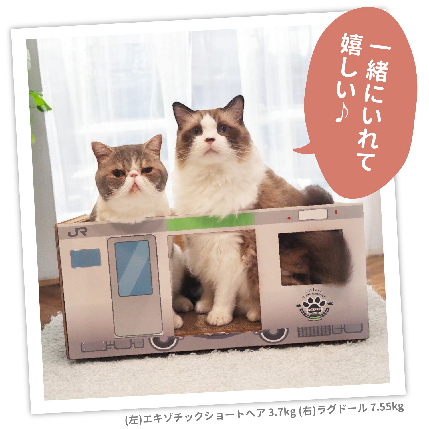 JR爪とぎ ペット用品 猫爪とぎ　山手線　埼京線　京浜東北線 JR東日本商品化許諾済