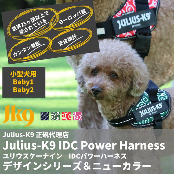 Julius-K9 ユリウスK9 IDCパワーハーネス  Baby1 / Baby2 小型犬用  限定カラー デニム 唐草