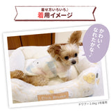 ミッフィーチェックシェニールニット ペット用品