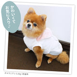 ミッフィー襟付きマイヤーウエア ペット用品