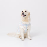 ミッフィーチェックシェニールニット中・大型犬 ペット用品