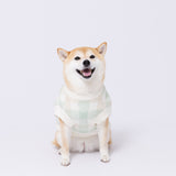 ボリスチェックシェニールニット中・大型犬 ペット用品