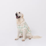 ボリスチェックシェニールニット中・大型犬 ペット用品