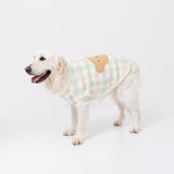 ボリスチェックシェニールニット中・大型犬 ペット用品