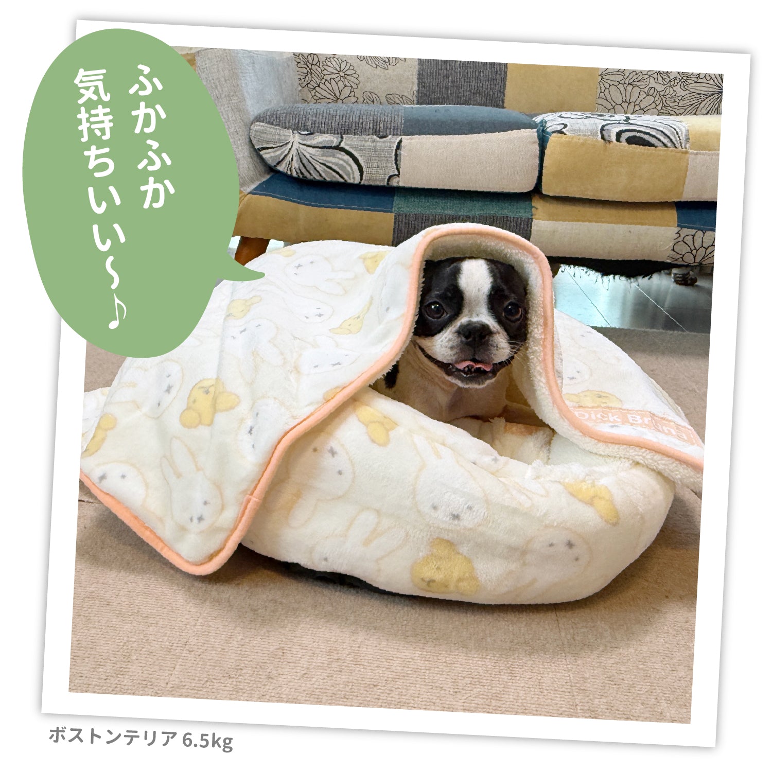 ミッフィー＆スナッフィーボアラウンドベッド ペット用品