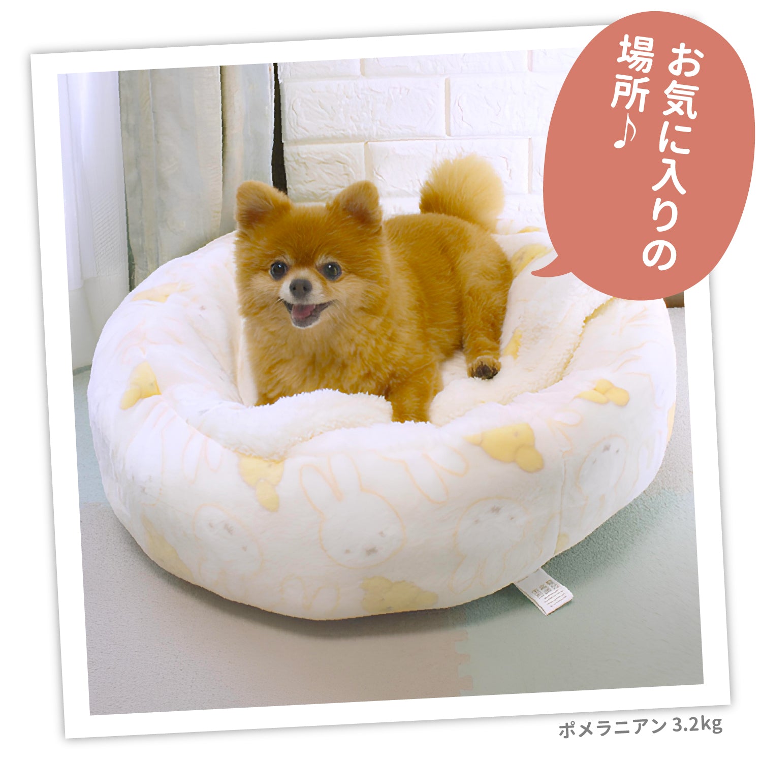 ミッフィー＆スナッフィーボアラウンドベッド ペット用品