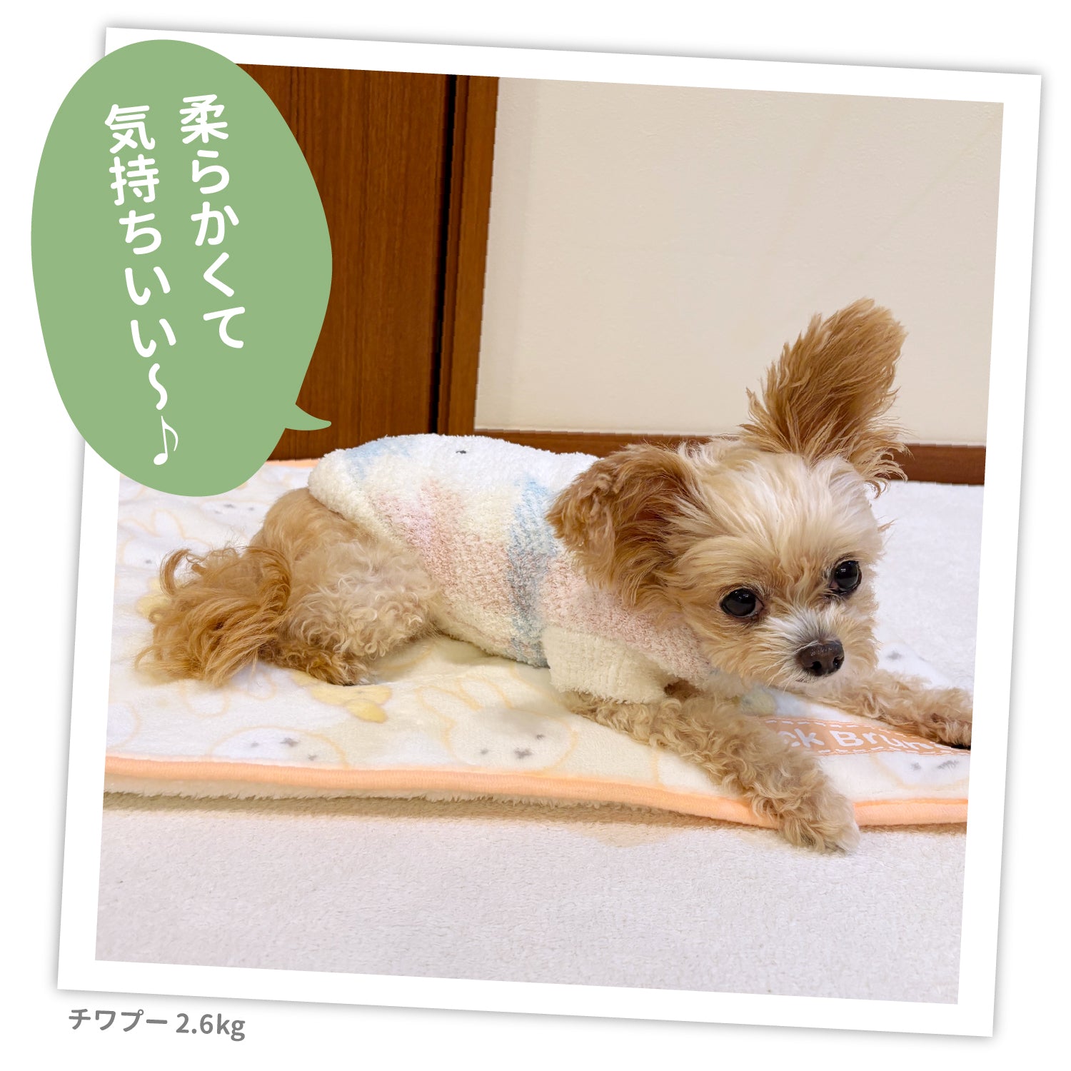 ミッフィー＆スナッフィーボアブランケットM ペット用品