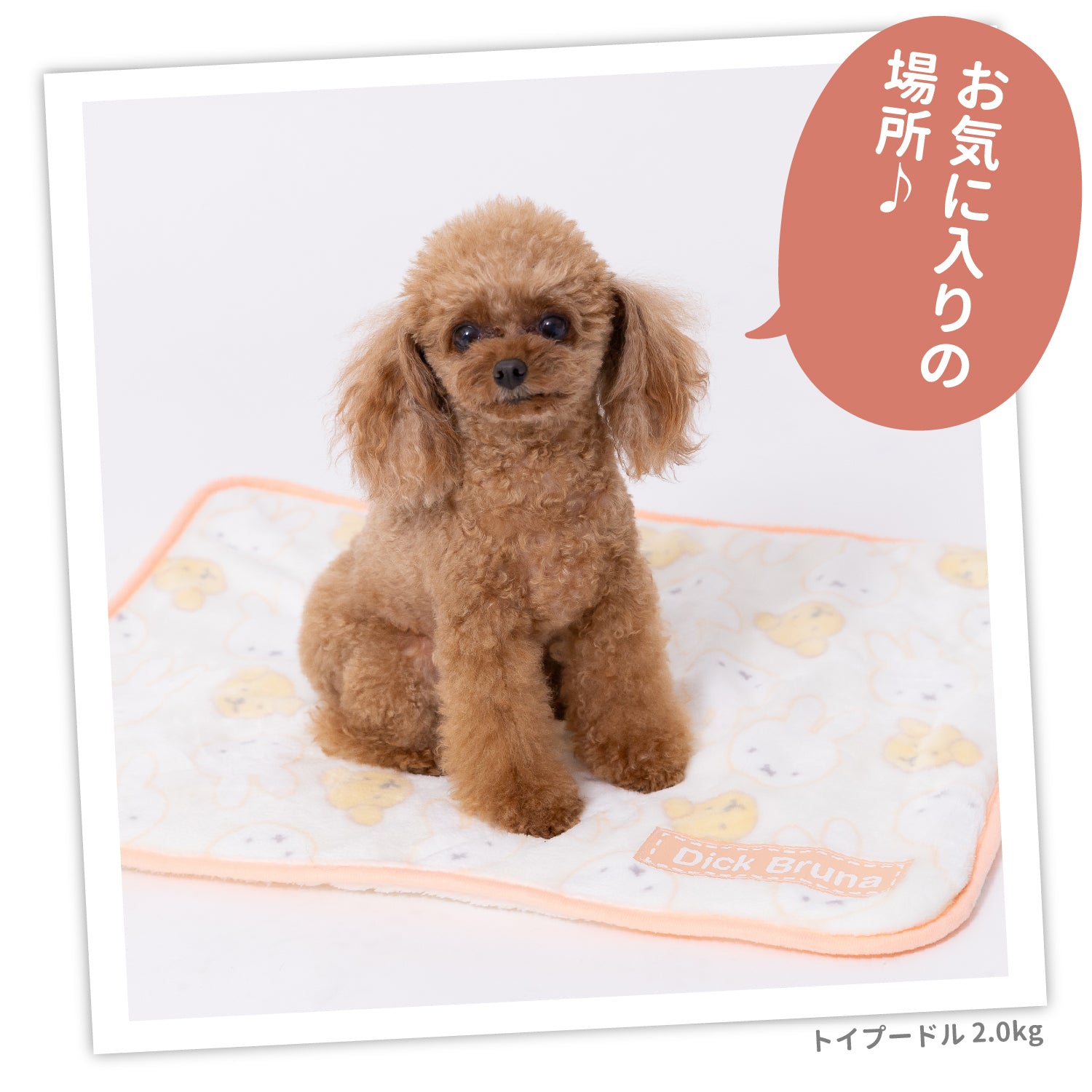 ミッフィー＆スナッフィーボアブランケットM ペット用品