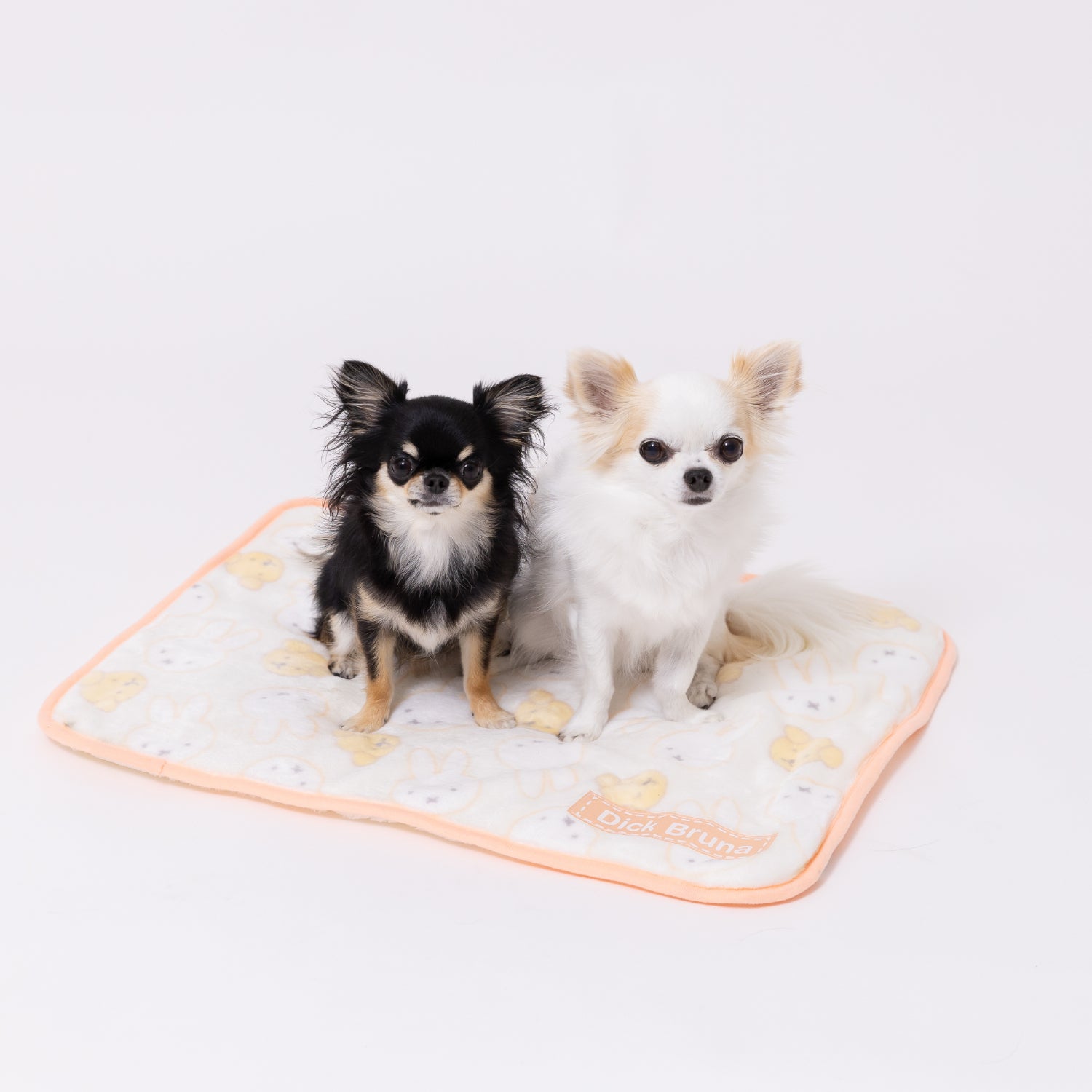 ミッフィー＆スナッフィーボアブランケットM ペット用品