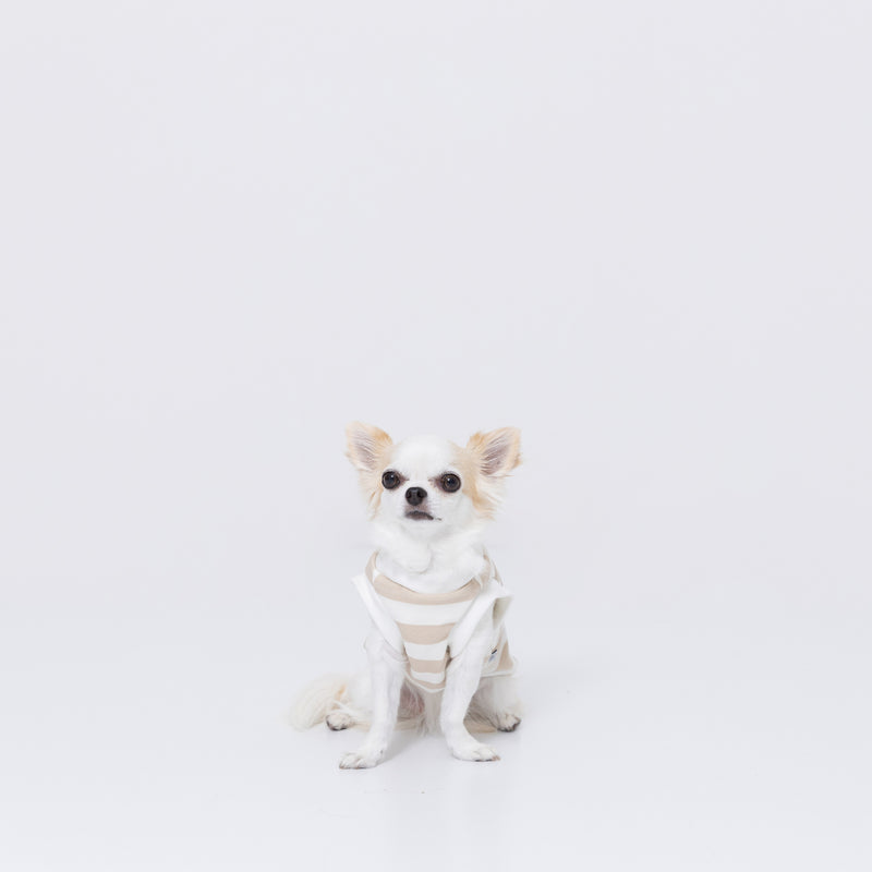 【3点購入で50％OFF】pipiくまトレーナー ペット用品 ペットウェア 犬服