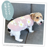 【3点購入で50％OFF】pipiフラワーシャギーニット ペット用品 ペットウェア 犬服