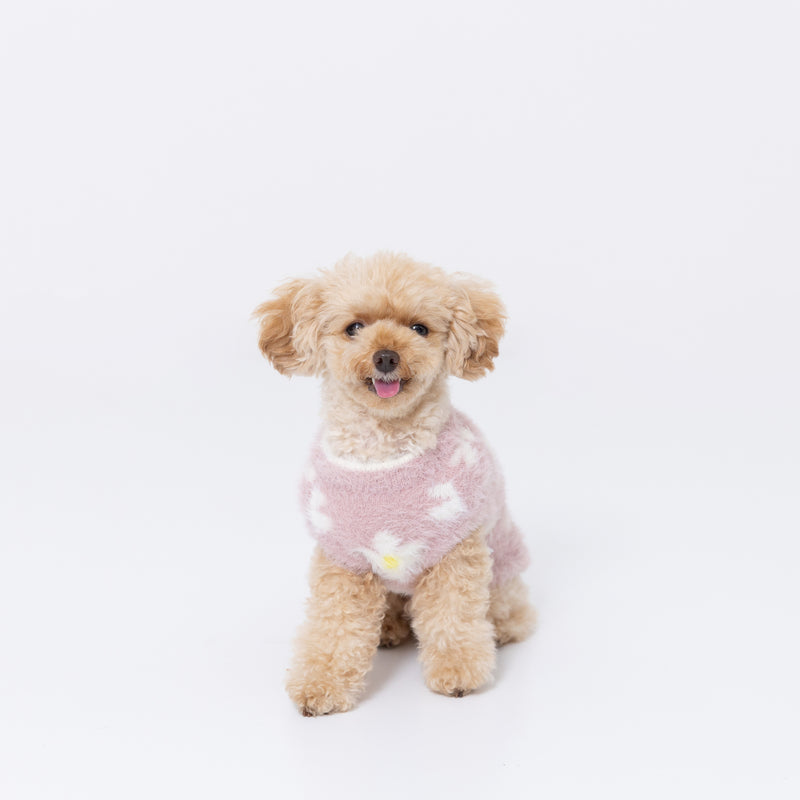 【3点購入で50％OFF】pipiフラワーシャギーニット ペット用品 ペットウェア 犬服