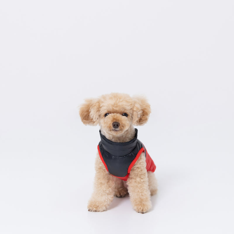 【3点購入で50％OFF】pipiダウンベスト ペット用品 ペットウェア 犬服