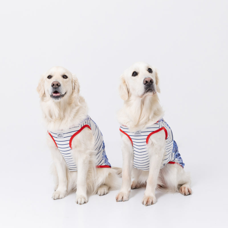 pipiオーバーオール風タンク 中大型犬 ペット用品 接触冷感