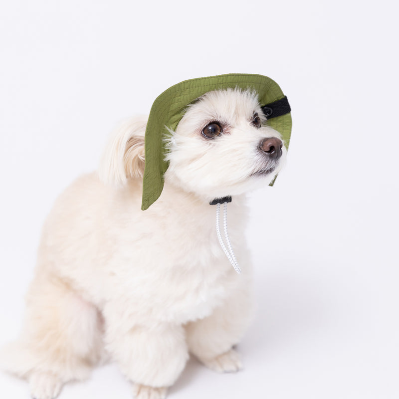 pipiサファリハット ペット用品