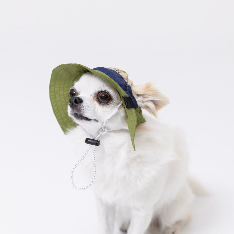 pipiサファリハット ペット用品