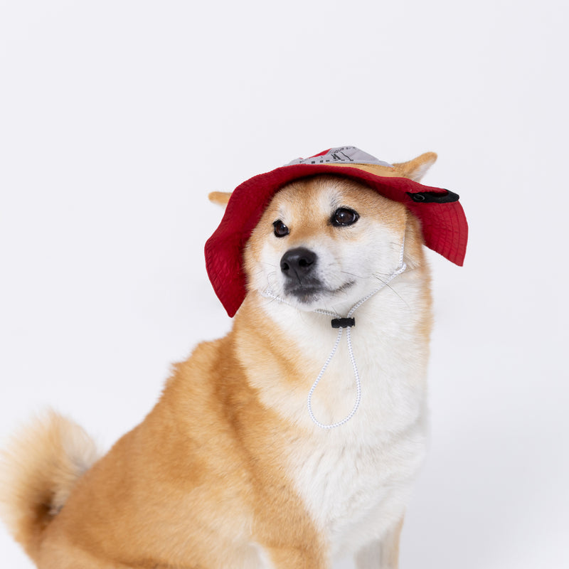 pipiサファリハット ペット用品