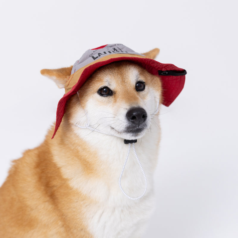 pipiサファリハット ペット用品