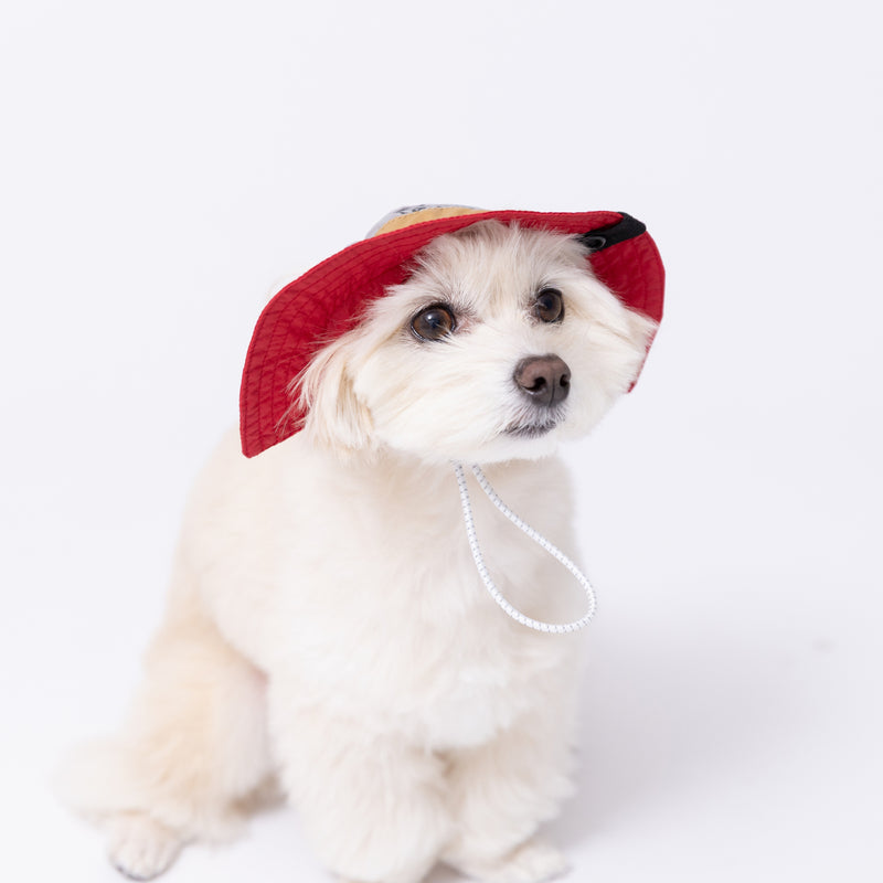 pipiサファリハット ペット用品
