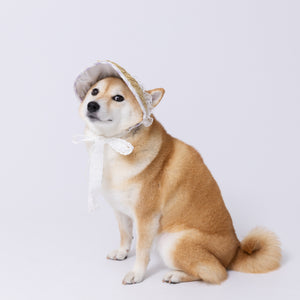 pipi レースフリル サンバイザー  ペット用品