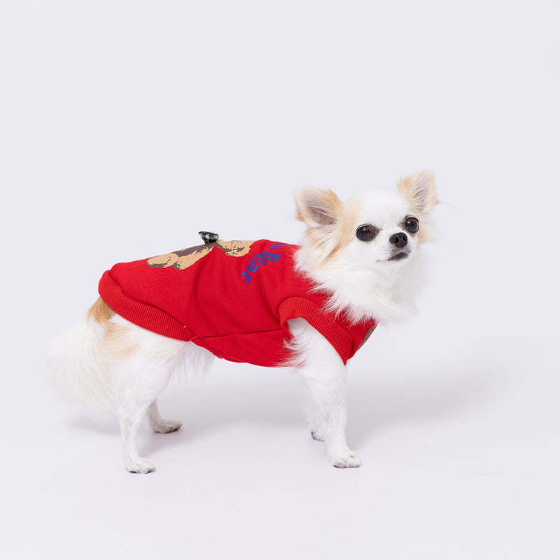 pipiテディベアトレーナー ペット用品