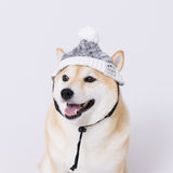 pipiニット帽 ペット用品