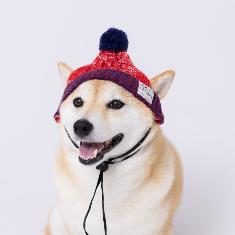 pipiニット帽 ペット用品