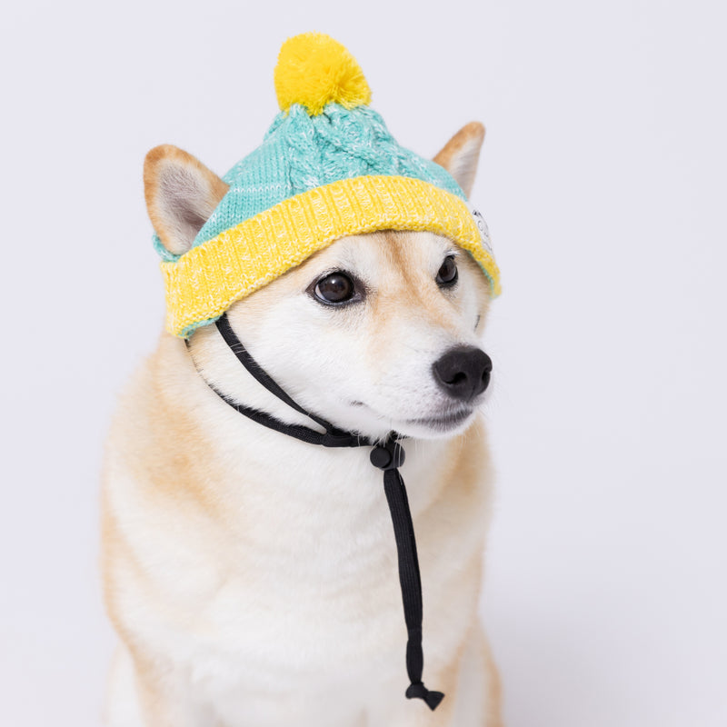 pipiニット帽 ペット用品