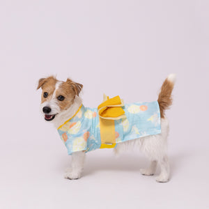 pipi うさぎ柄浴衣 ペット用品 26SS