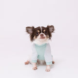 pipi 防虫Tシャツ ペット用品