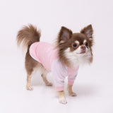 pipi 防虫Tシャツ ペット用品