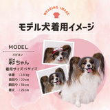 pipi ヒッコリーハット ペット用品