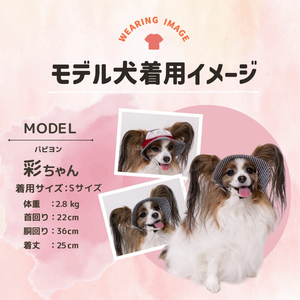 【PET THREE】ヒッコリーハット ペット用品 26SS