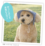 pipi ヒッコリーハット ペット用品