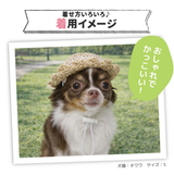 pipi ストローハット ペット用品