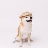 pipi ストローハット ペット用品