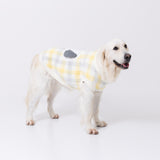 スヌーピーチェックシェニールニット中・大型犬 ペット用品