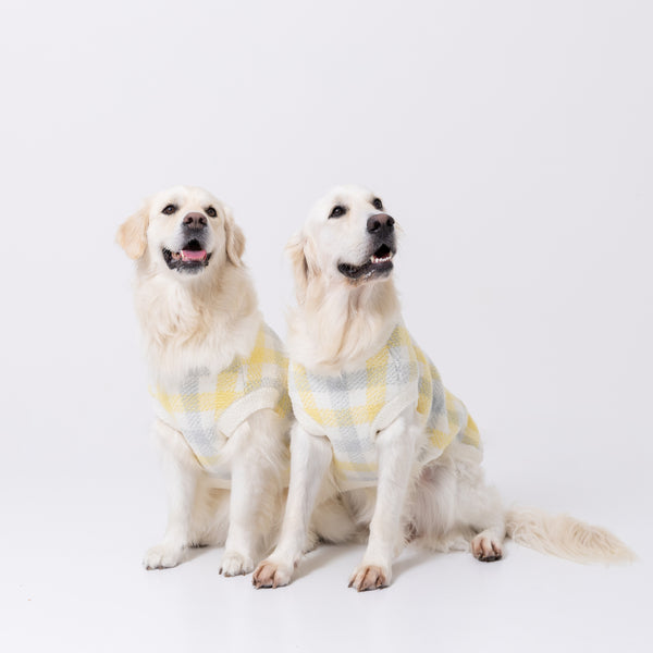 スヌーピーチェックシェニールニット中・大型犬 ペット用品