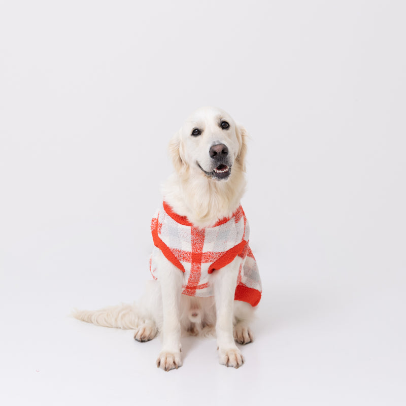 スヌーピーチェックシェニールニット中・大型犬 ペット用品