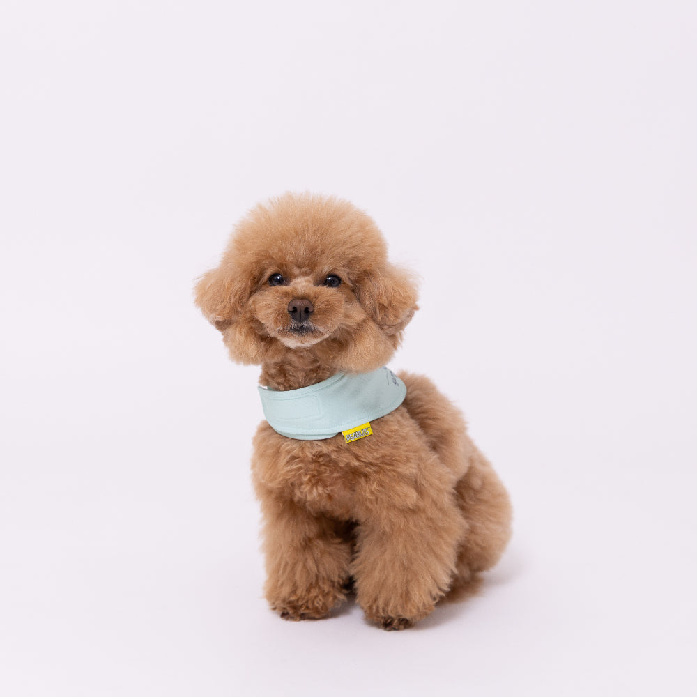 スヌーピークールバンダナ ペット用品