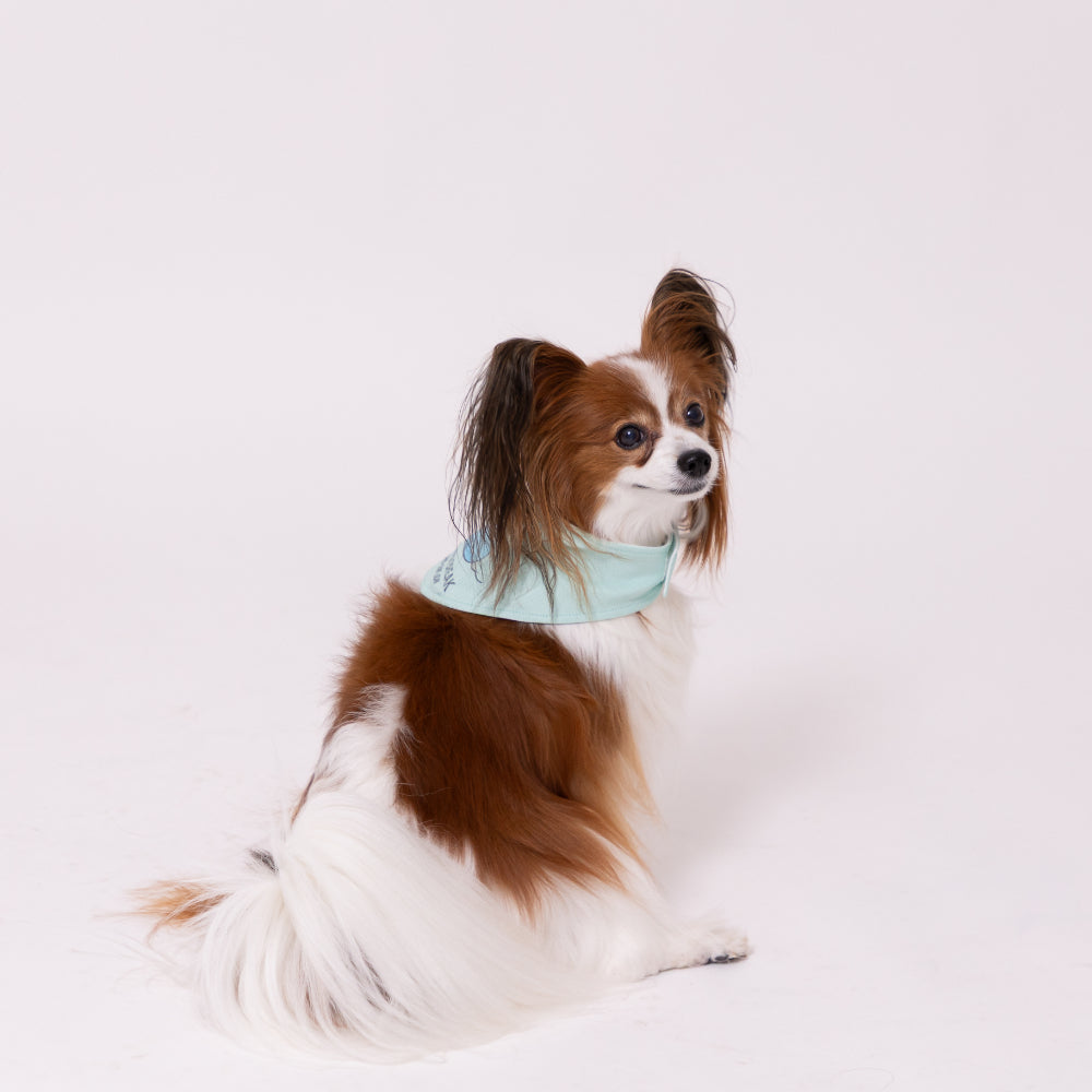 スヌーピークールバンダナ ペット用品