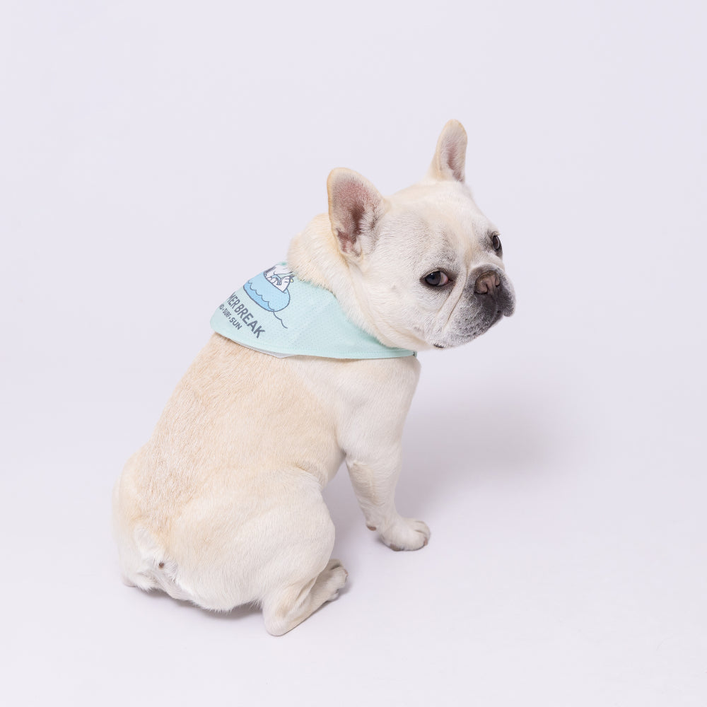 スヌーピークールバンダナ ペット用品