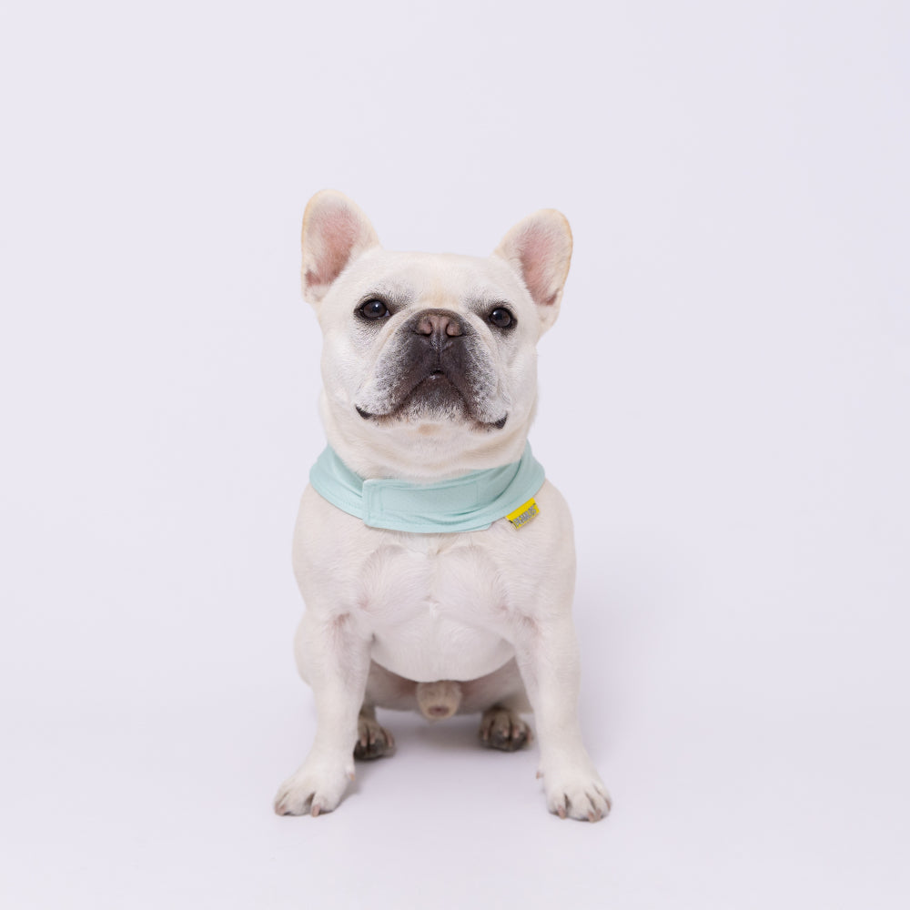 スヌーピークールバンダナ ペット用品