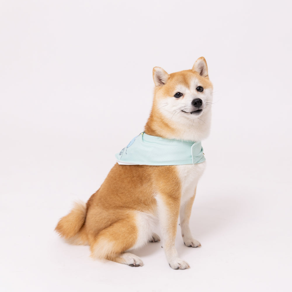 スヌーピークールバンダナ ペット用品