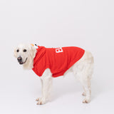 エルモなりきりニットウエア中・大型犬 ペット用品