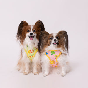 【SESAME STREET】セサミストリート フルーツ柄タンク ペット用品 26SS